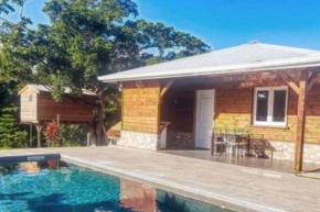 Magnifique maison en bois avec piscine